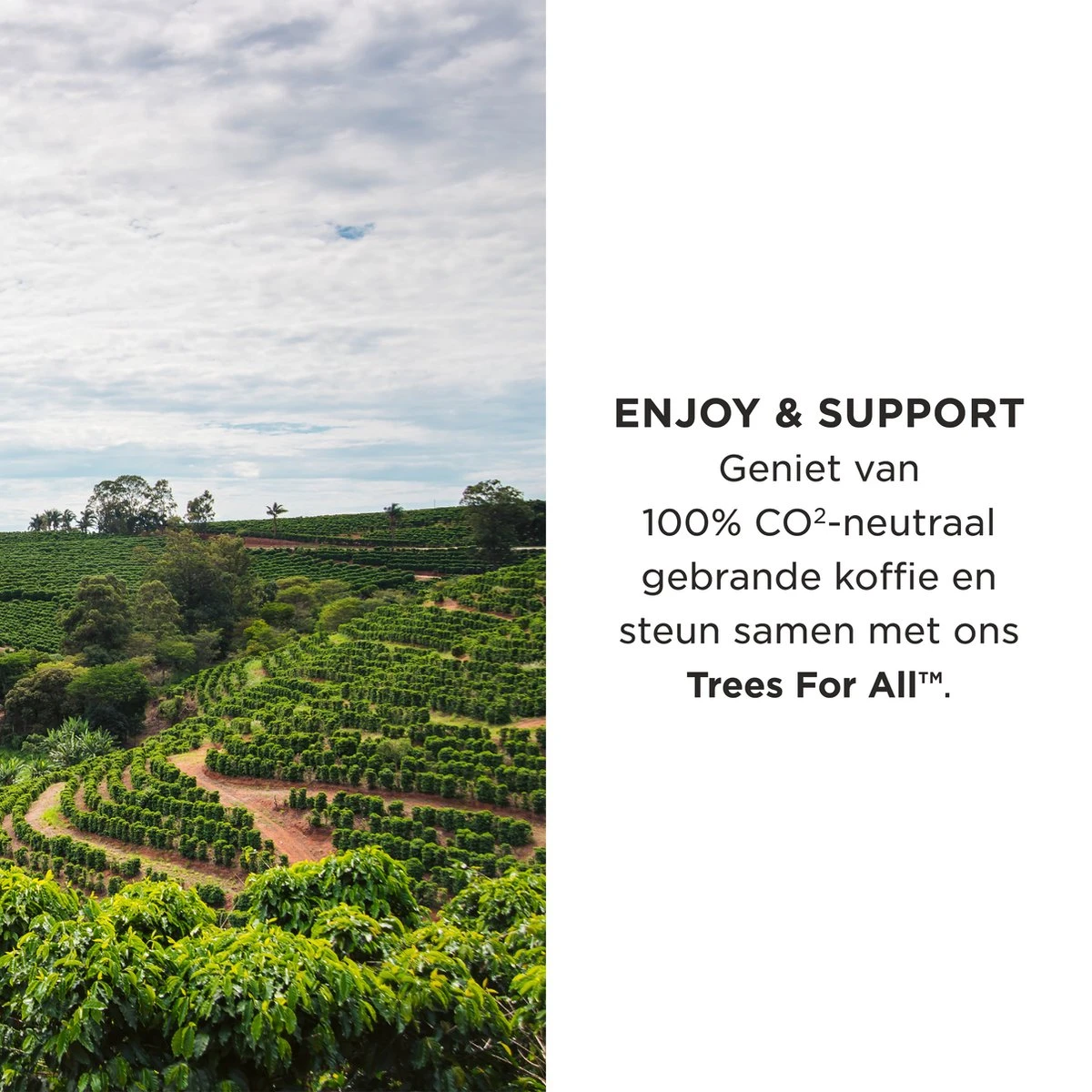 Aroma Club - Koffiebonen 1KG - No. 2 Smooth James - Koffie Intensiteit 3/5 - Espresso & Lungo - Image 4