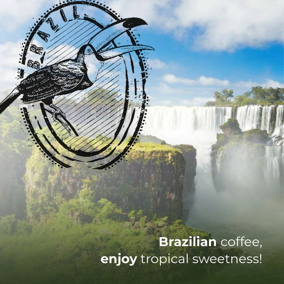 Soolong Enjoy Brazilie Nr4000 Koffiebonen Topacio Lungo - Speciality Koffie Arabica Medium Roast, Light Body Met Een Verfijnde Zacht Zoete Smaak. - Zak 250gram - Image 7